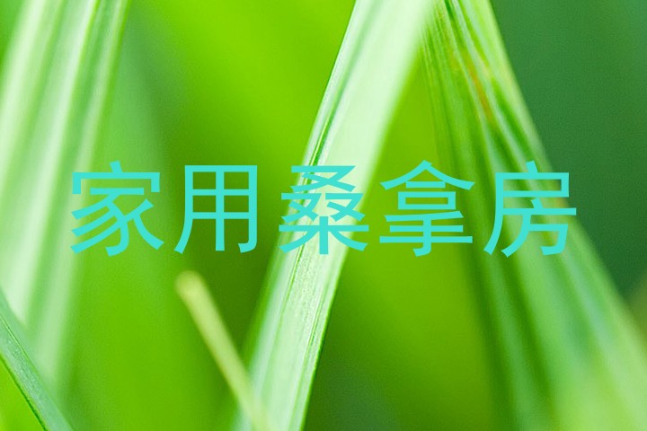 家用桑拿房
