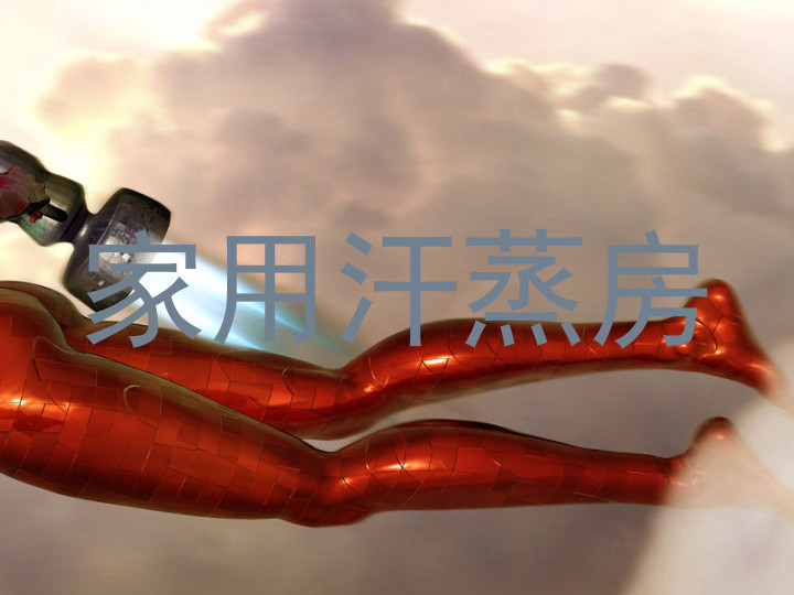家用汗蒸房