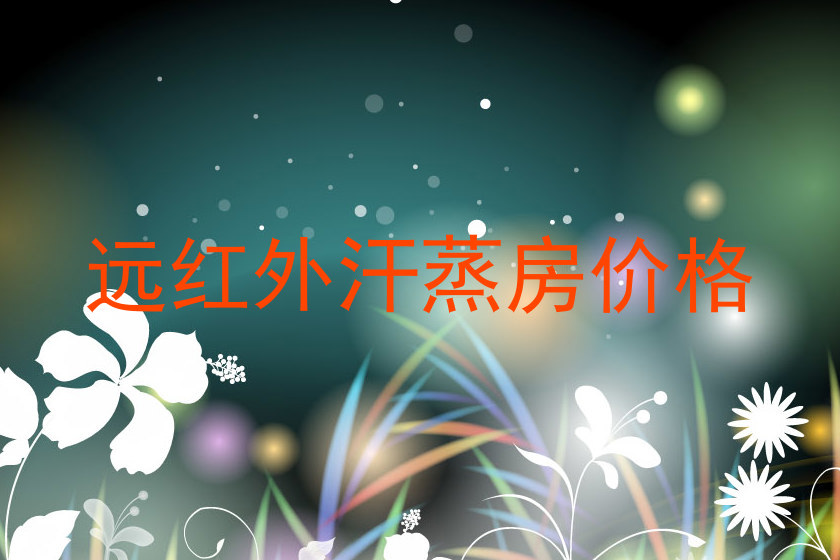 远红外汗蒸房价格