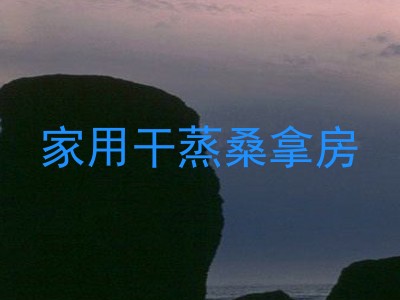 家用干蒸桑拿房