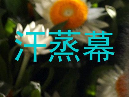 汗蒸幕