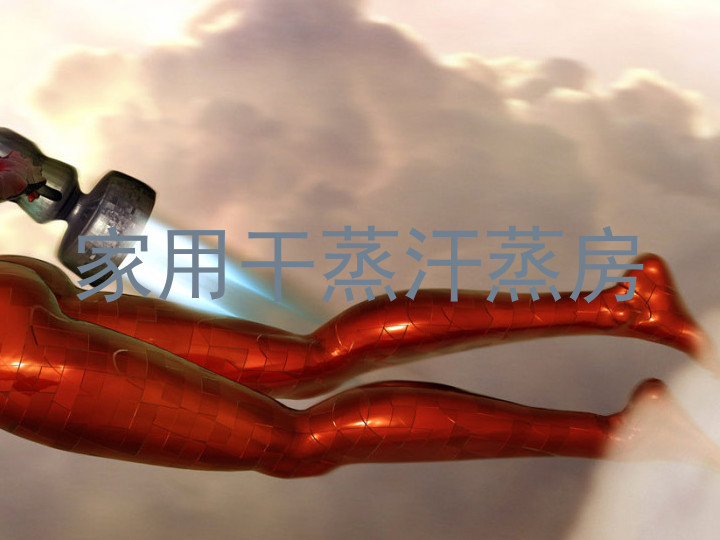 家用干蒸汗蒸房