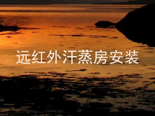 远红外汗蒸房安装