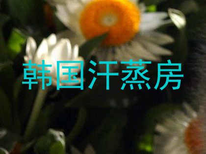 韩国汗蒸房