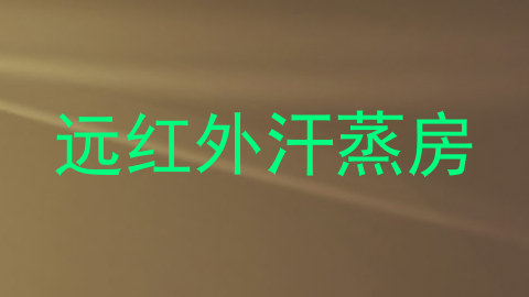 远红外汗蒸房