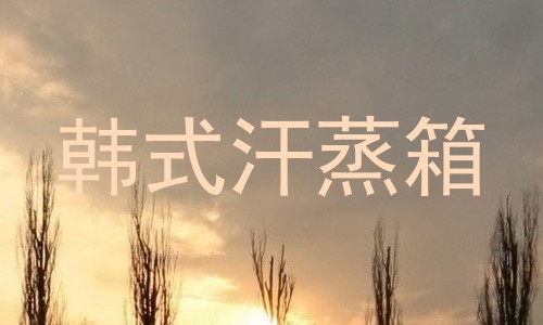 韩式汗蒸箱