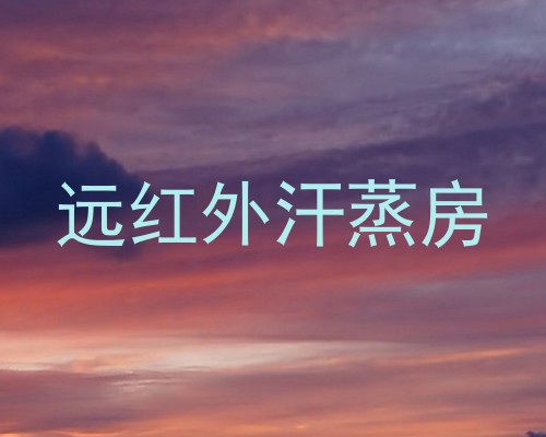 远红外汗蒸房