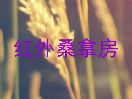 红外桑拿房