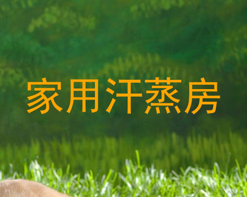 家用汗蒸房