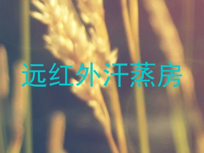 远红外汗蒸房