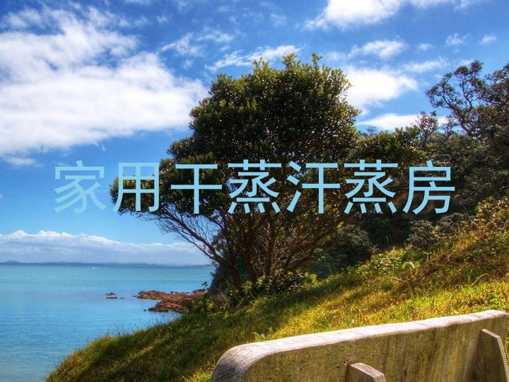 家用干蒸汗蒸房
