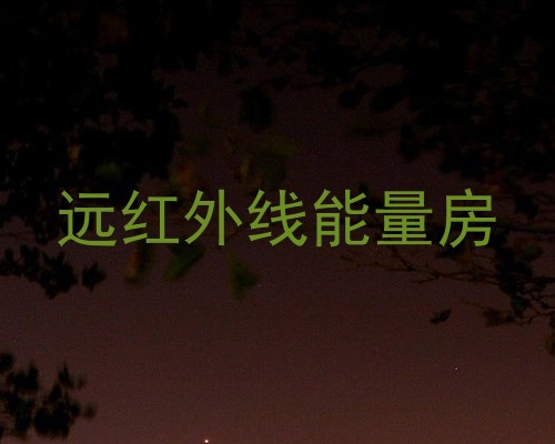 远红外线能量房