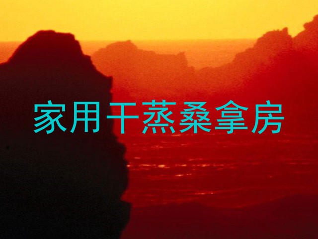 家用干蒸桑拿房