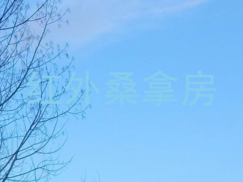 红外桑拿房