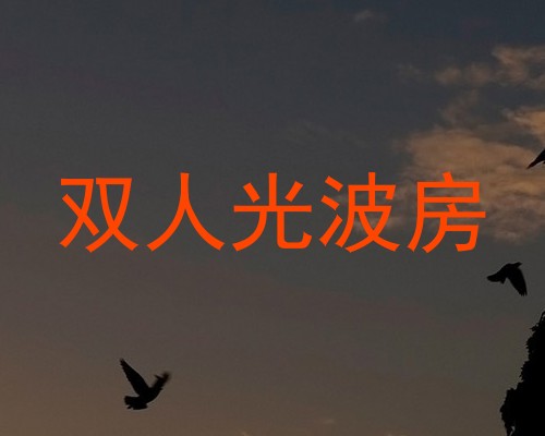 双人光波房