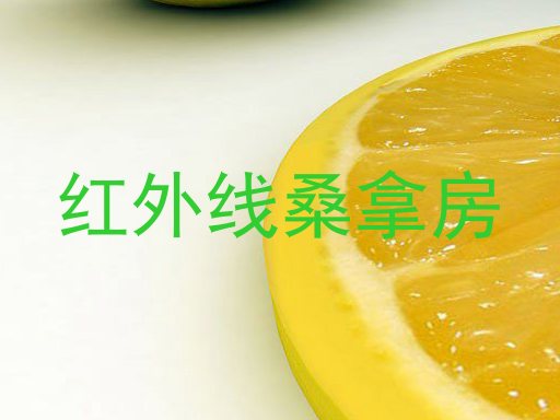 红外线桑拿房