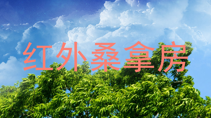 红外桑拿房