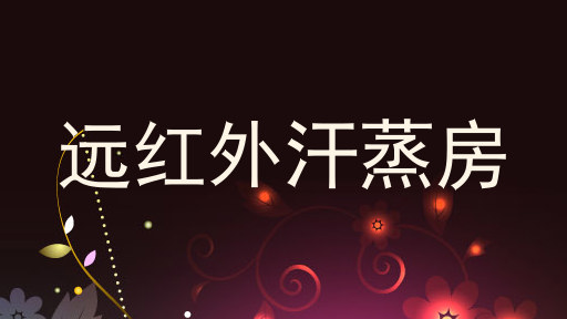 远红外汗蒸房