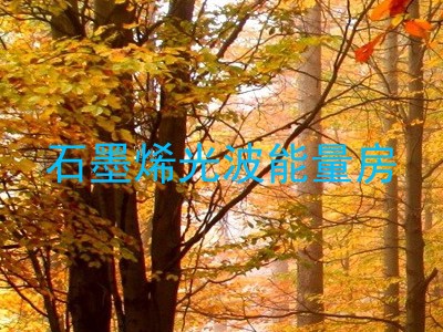 石墨烯光波能量房
