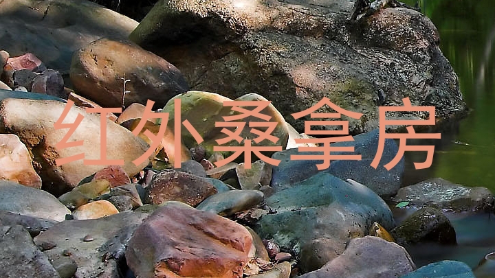 红外桑拿房