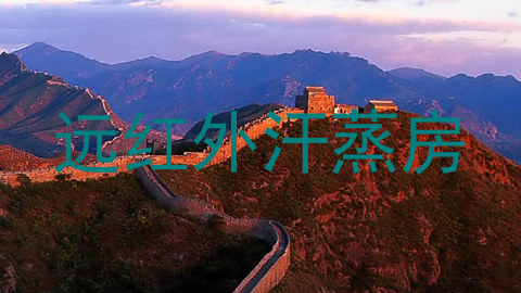 远红外汗蒸房