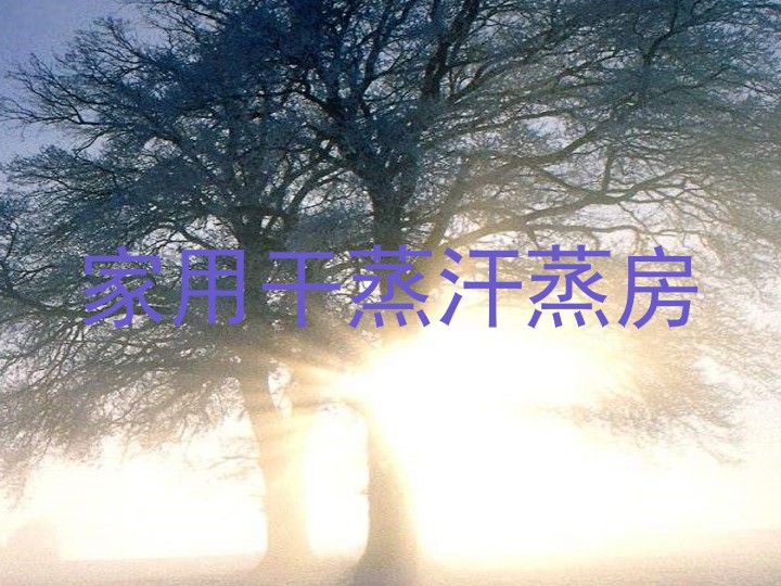 家用干蒸汗蒸房