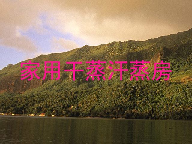 家用干蒸汗蒸房