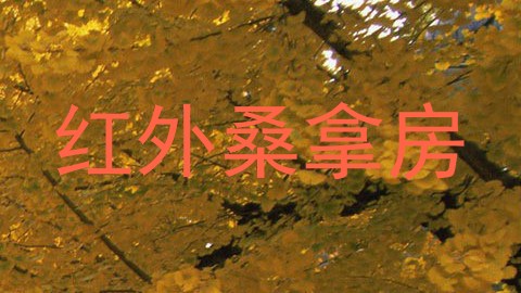 红外桑拿房