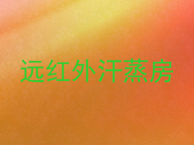 远红外汗蒸房
