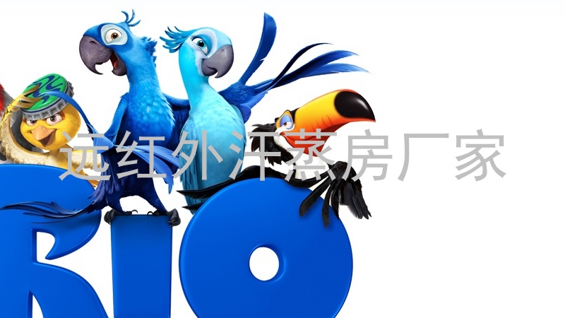 远红外汗蒸房厂家