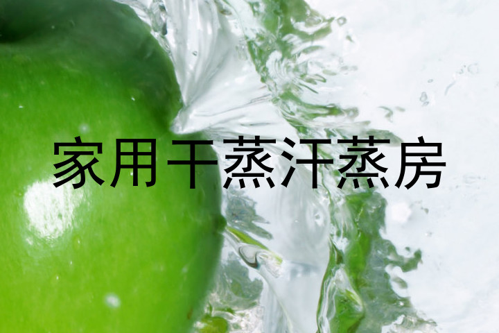 家用干蒸汗蒸房
