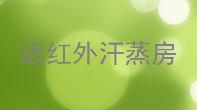 远红外汗蒸房