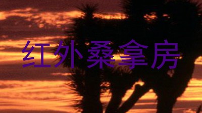 红外桑拿房