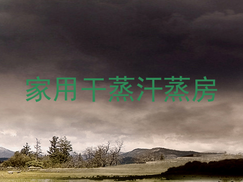 家用干蒸汗蒸房