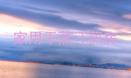 家用干蒸汗蒸房