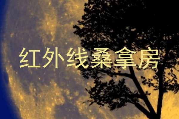 红外线桑拿房