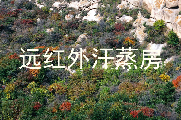 远红外汗蒸房