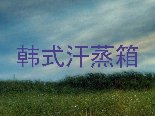 韩式汗蒸箱