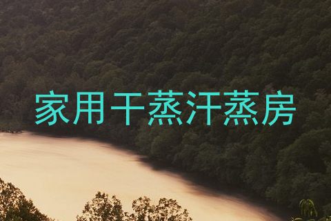 家用干蒸汗蒸房