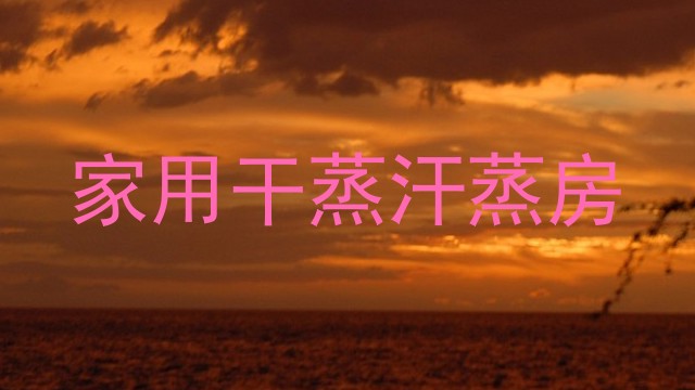 家用干蒸汗蒸房