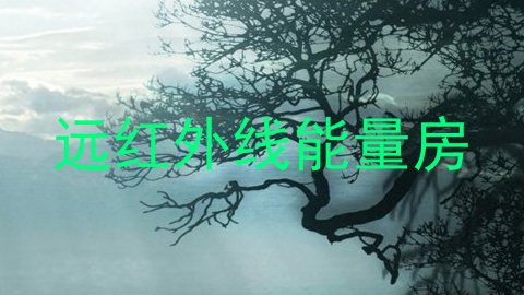 远红外线能量房