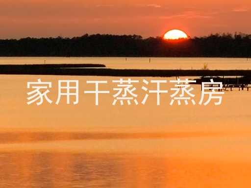 家用干蒸汗蒸房