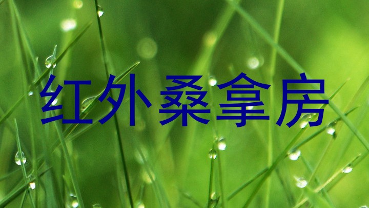 红外桑拿房