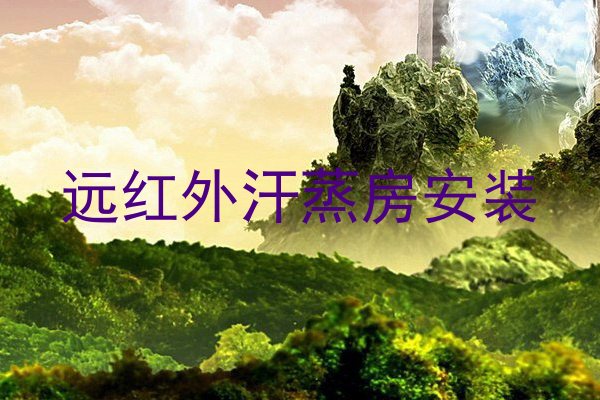 远红外汗蒸房安装
