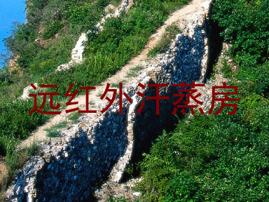 远红外汗蒸房