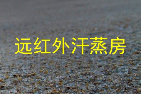 远红外汗蒸房