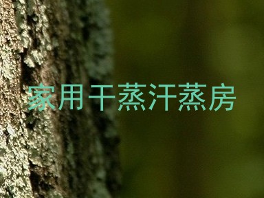 家用干蒸汗蒸房