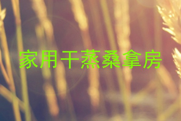 家用干蒸桑拿房