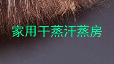 家用干蒸汗蒸房