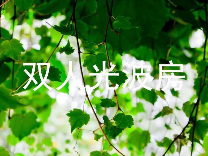 双人光波房